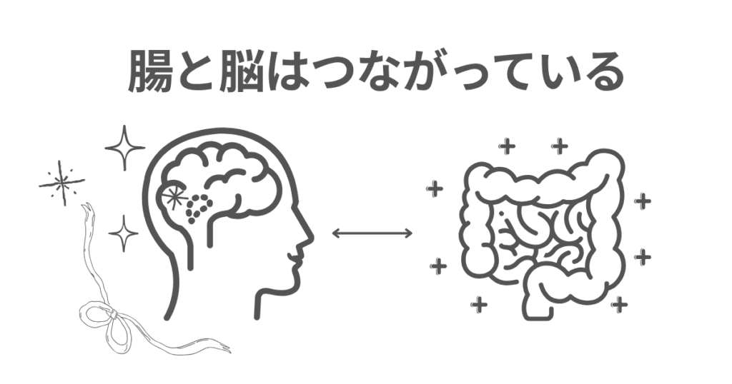 腸と脳がつながっていることを示すイラスト。腸内環境が整うと気分の安定にも良い影響を与える「腸脳相関」のイメージ。