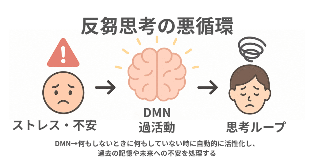 反芻思考の悪循環を図解。ストレスや不安→DMN過活動→思考ループへつながる流れを示すイラスト