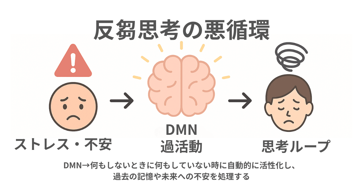 反芻思考の悪循環｜ストレス・不安→DMN過活動→思考ループの図解