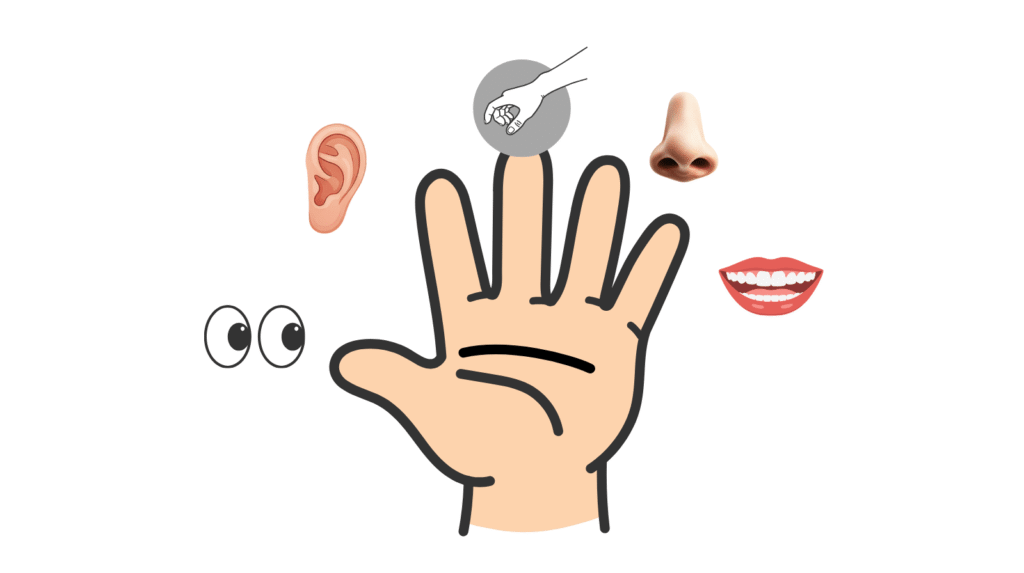 5-4-3-2-1法（グラウンディング）で、視覚・聴覚・触覚・嗅覚・味覚の五感に意識を向ける方法を示した図解
