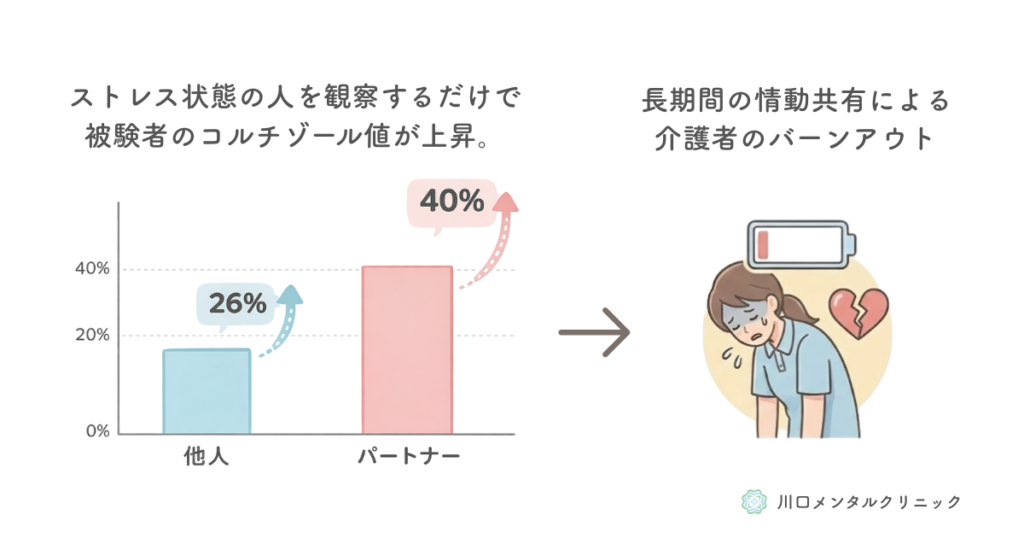 図解「情動伝染によるストレスとバーンアウト」:左側のグラフは、ストレス状態の人を観察するだけで被験者のコルチゾール値が上昇する確率を示し、「他人」が26%、「パートナー」が40%とパートナー間の方が高い。右側のイラストは、この長期間の情動共有が介護者のバーンアウトにつながることを、疲労困憊した女性と空のバッテリー、割れたハートのアイコンで表現している。