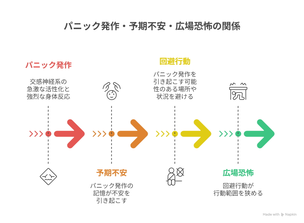 パニック発作から予期不安を経て広場恐怖に至る流れを示すフロー図